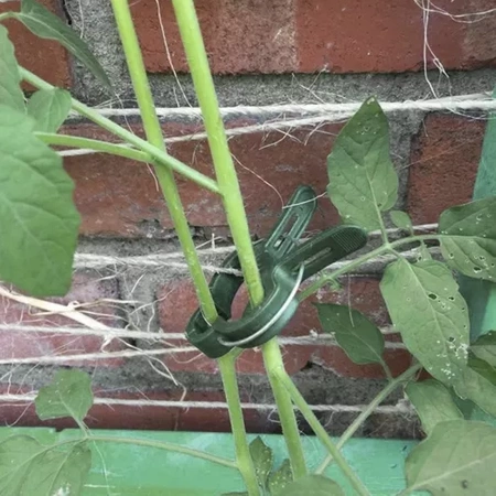 Klipsy Zapinki do Pomidorów Roślin Pędów Fasoli Łodyg Mocowania 108 sztuk GARDLOV