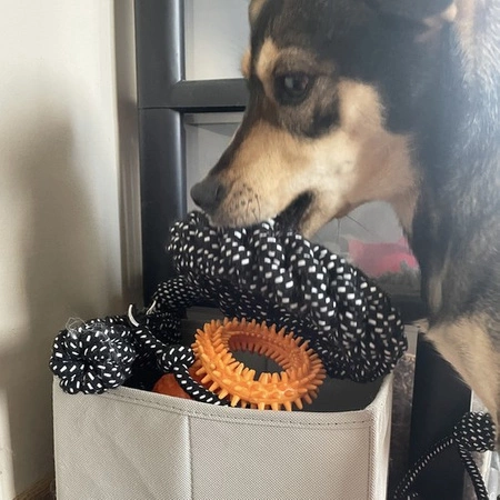 Zestaw Zabawek dla Psa Szarpak Gryzak Piłka Zabawki 10 szt Małego Średniego PURLOV