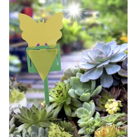 Żółte Lepy do Doniczki na Owady Ziemiórki 12szt REPEST