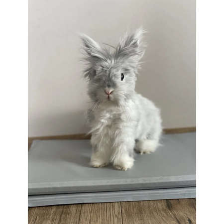 Mata Chłodząca dla Psa Kota Zwierząt Żelowa Składana 90x50 Legowisko Lato PURLOV