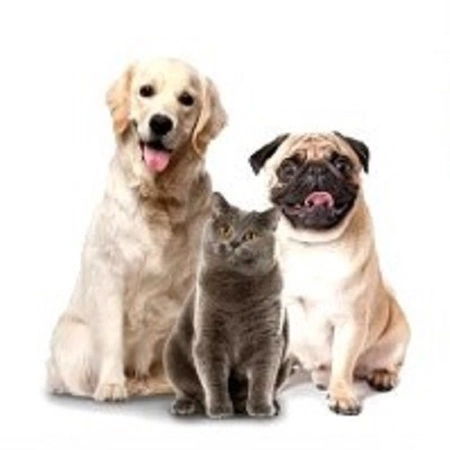 Obcinaczki do Pazurów dla Psa Kota LED Nożyczki Obcinacz Cążki Cęgi Pilnik PURLOV