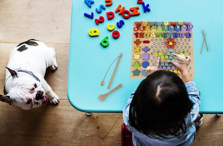 Układanka Drewniany Sorter Klocki Koraliki + Cyfry KRUZZEL