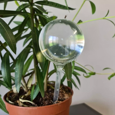 Kule Nawadniające do Kwiatów Roślin Dozownik Wody GARDLOV