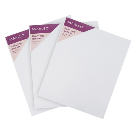 Zestaw Artystyczny do Malowania Malarski Maaleo Dla Dzieci Farby Prezent