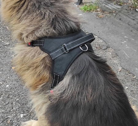 Mocne Szelki dla Psa Bezuciskowe i Lekkie Uchwyt L PURLOV