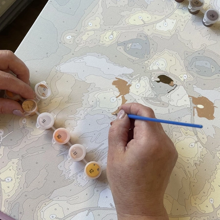 Malowanie po Numerach Obraz 40x50 Zestaw do Malowania na Prezent Ramie DIY