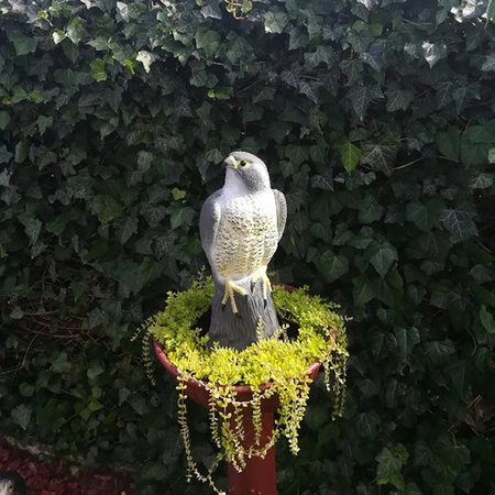 Odstraszacz Ptaków Gołębi Szpaków Sokół Jastrząb na Ptaki Myszy Makieta XXL REPEST