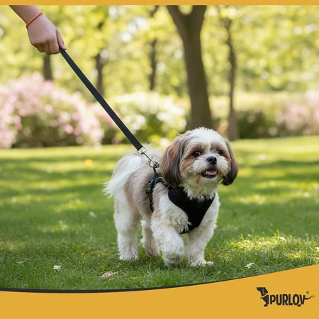 Szelki Bezuciskowe Purlov Guard Dla Psa Kota Regulowane Spacerowe Mocne