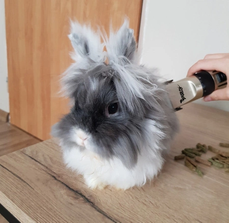 Maszynka do Strzyżenia Psów Zwierząt Psa Zestaw Cicha Bezprzewodowa Mocna PURLOV