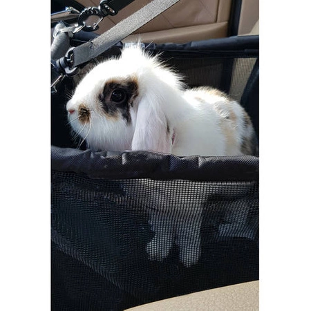 Transporter dla Psa Torba na Siedzenie Samochodu PURLOV