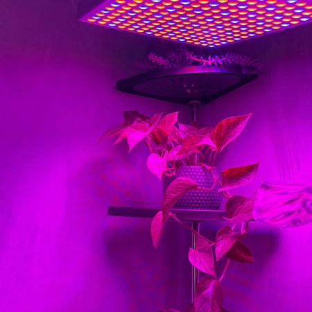 Lampa do Wzrostu Roślin Panel do Uprawy 225 LED + Liny Mocna 36W Wisząca GARDLOV