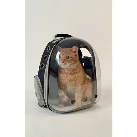 Plecak Transporter dla Kota Małego Psa Torba z Otworami Przezroczysty Mocny PURLOV