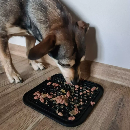 Duża Mata Antystresowa Tacka do Lizania dla Psa PURLOV