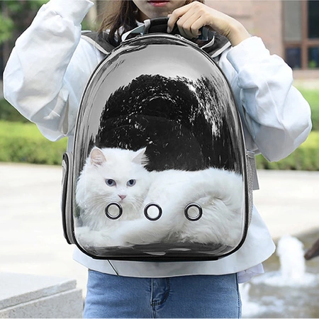 Plecak Transporter dla Kota Małego Psa Torba z Otworami Przezroczysty Mocny PURLOV