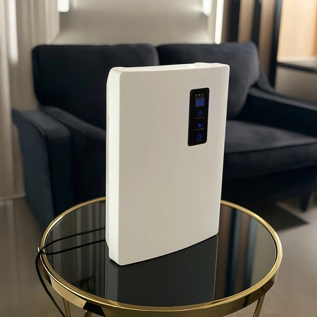 Oczyszczacz Osuszacz Powietrza Pochłaniacz Wilgoci RUHHY