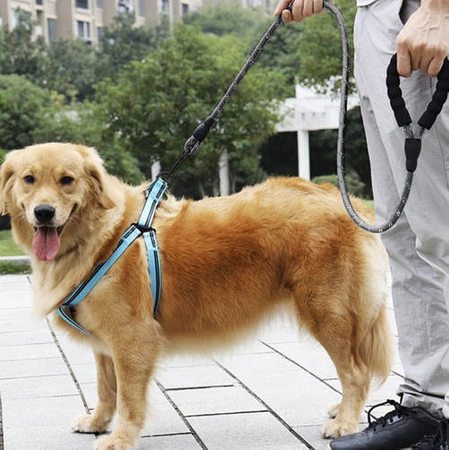 Smycz dla Dużego Psa Linka Gruba Odblaskowa 5 m PURLOV