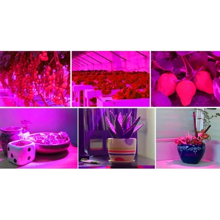 Lampa do Wzrostu Roślin Panel do Uprawy 225 LED + Liny Mocna 36W Wisząca GARDLOV