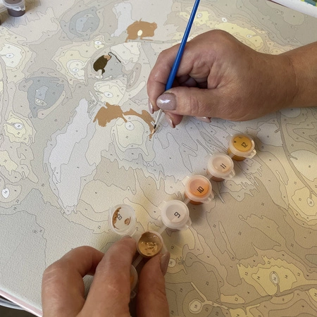 Malowanie po Numerach Obraz 40x50 Zestaw do Malowania na Prezent Ramie DIY