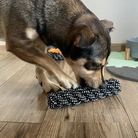 Zestaw Zabawek dla Psa Szarpak Gryzak Piłka Zabawki 10 szt Małego Średniego PURLOV