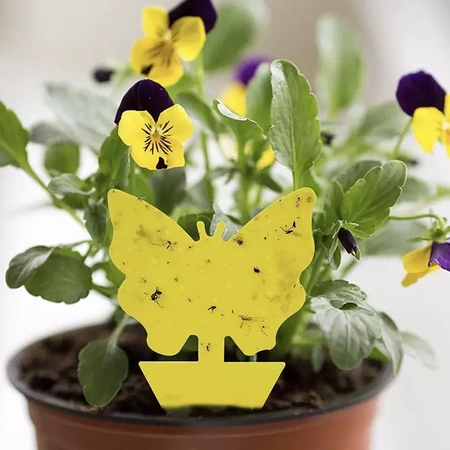 Żółte Lepy do Doniczki na Owady Ziemiórki 12szt REPEST