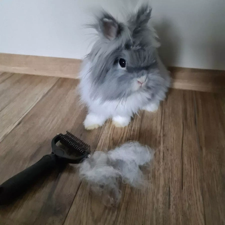 Trymer Zgrzebło do Kołtunów Usuwa Martwy Włos Psa PURLOV