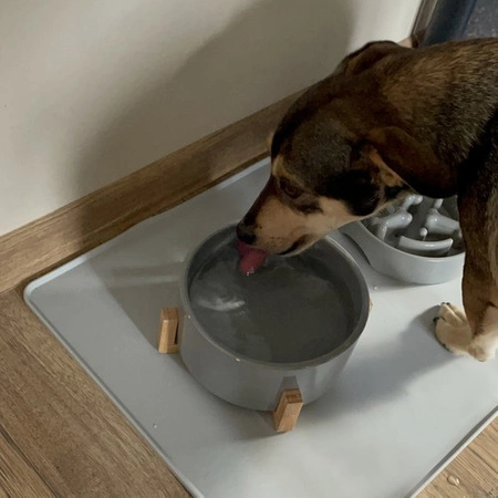 Podkładka Mata pod Miskę dla Psa Kota Wodoodporna Antypoślizgowa 60x40 XXL PURLOV