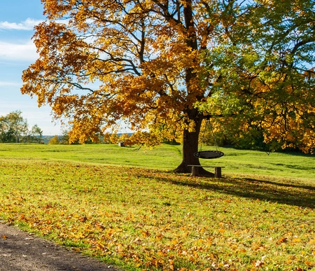 Bocianie Gniazdo Huśtawka Ogrodowa 150kg 100cm XL ISO TRADE