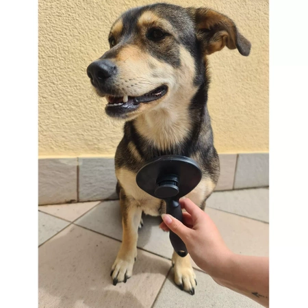 Szczotka Samoczyszcząca do Sierści dla Psa Kota PURLOV