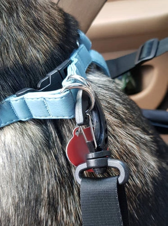 Transporter dla Psa Torba na Siedzenie Samochodu PURLOV