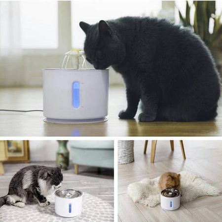 Filtr do Fontanny Poidła dla Kota Wymienny 6 szt PURLOV