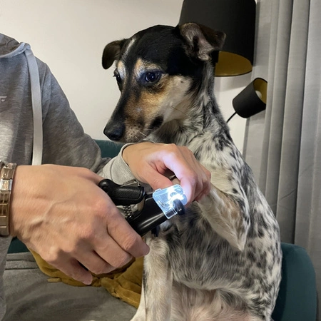 Obcinaczki do Pazurów dla Psa Kota LED Nożyczki Obcinacz Cążki Cęgi Pilnik PURLOV