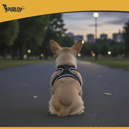 Szelki Bezuciskowe Purlov Regulowane Spacerowe Roz. XS Dla Psa i Kota Mocne