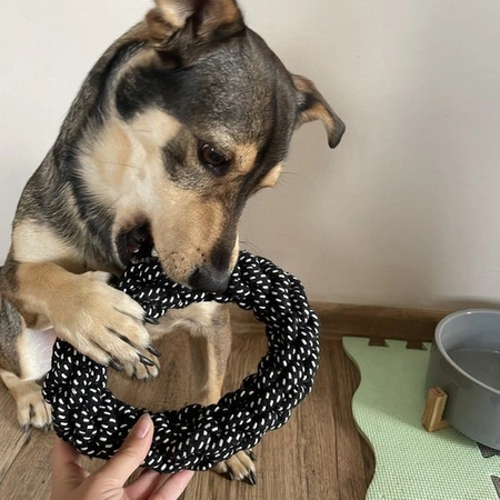 Zestaw Zabawek dla Psa Szarpak Gryzak Piłka Zabawki 10 szt Małego Średniego PURLOV