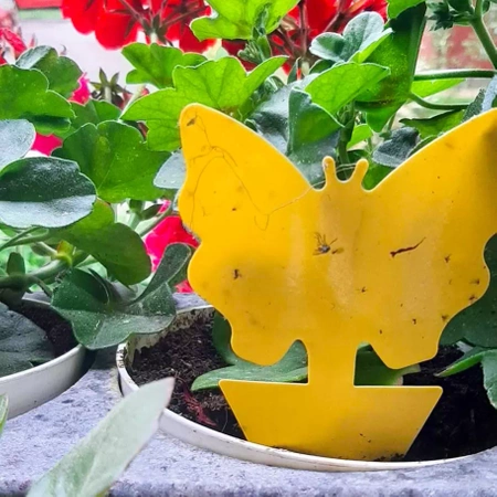 Żółte Lepy do Doniczki na Owady Ziemiórki 12szt REPEST