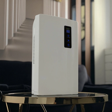 Oczyszczacz Osuszacz Powietrza Pochłaniacz Wilgoci RUHHY