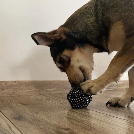 Zestaw Zabawek dla Psa Szarpak Gryzak Piłka Zabawki 10 szt Małego Średniego PURLOV