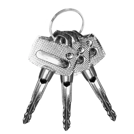 Sejf Domowy Skrytka Kasetka na Klucz Mocny Solidny MALATEC