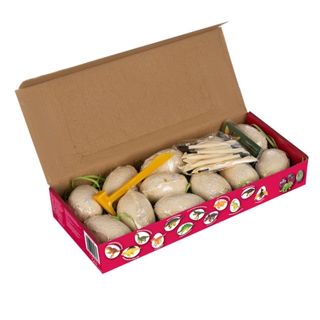 Jajo Dinozaura Jajko Wykluwający Dinozaur Kopalnia Dinozaurów Wykopaliska KRUZZEL