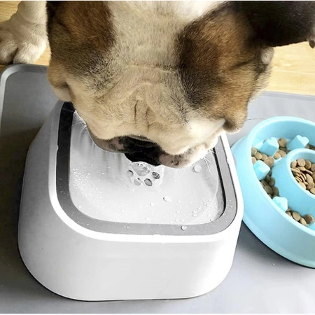 Miska dla Psa Kota Poidło na Wodę Pływajaca Niechlapiąca Duża 1,5l +Prezent PURLOV