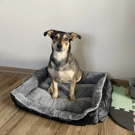 Legowisko dla Psa Kota Kojec Posłanie 60 x 45 cm Miękkie Duże Puszyste PURLOV